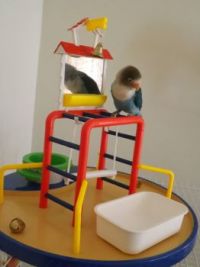 playground