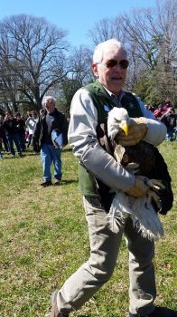 Bald Eagle Release 3/23/18