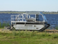 Marsh Monster