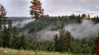 Idaho Mist