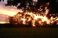 After the storm