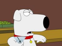 Brian_ Family Guy
