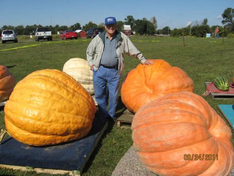 Gigantic Pumpkins
