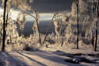 The Great Ice Storm of 1998