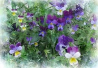 Floral Watercolors (#2)