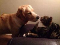 Summer and Jasper