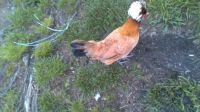 IMG_20170524_151113