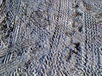 tracks in the snow NJ