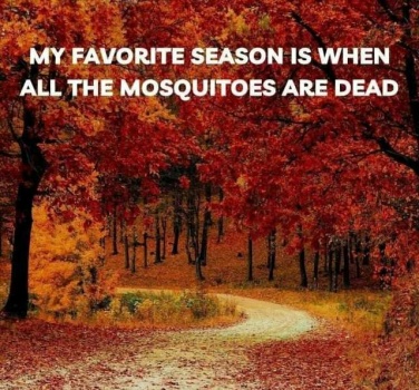 my-favorite-season-is-when-all-the-mosquitoes-are-dead-inRwM