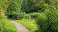 Lesser Spotted Towpath Fisher