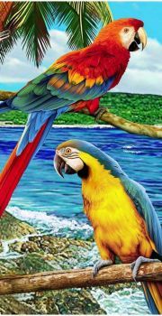 Parrots in paradise