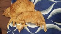 Comfy spot