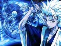 bleach anime (1)