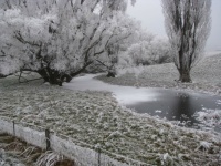 Hoar Frost
