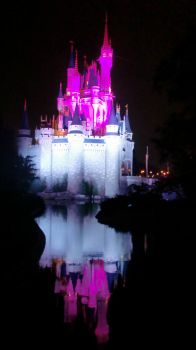 Cinderella's castle at night
