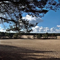 Landscape • Southern Netherlands