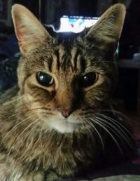 Stubbs aka Slim