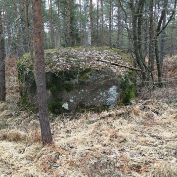 Stone in Lojsta Gotland