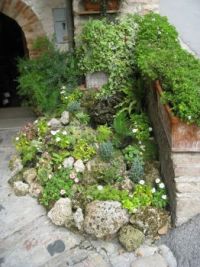 Un piccolo giardino, Spello, Italy