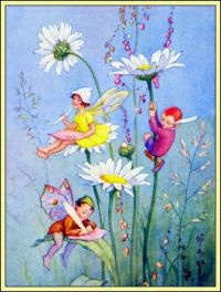 Moon Daisies (mini)