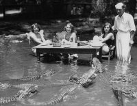 Women pose with Gators at Alligator Farm (1930s)