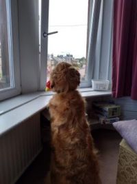 Who is out there?