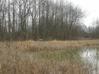 A Place to Ponder Possibilities