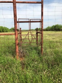 Old school water trap gate for working cattle