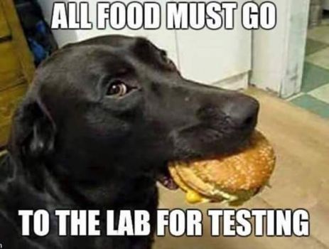 Food Testing ...
