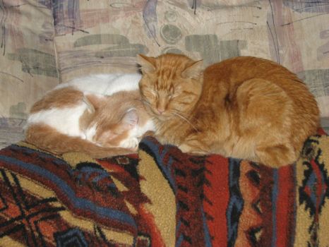 Pekoe and Chili chillin