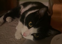 Meet Daisy!