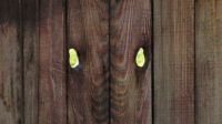 Wood knots
