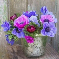Happiness is...Gorgeous Vase of Anemone's.