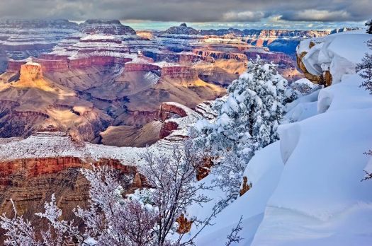 The Grand Canyon currently has 6 inches of snow
