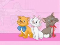 Aristocrat Kittens