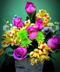 Beautific in Bloom