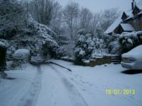 Lovely snow