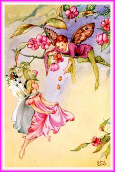 The Spindle Berry Fairies (smaller size)