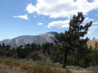 View from Pacific Crest Trail in Wrightwood CA near Inspiration Point