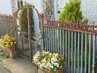 Beautiful in Fishguard, Pembrokeshire, England