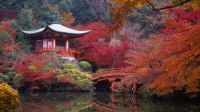Autumn, Japanese Garden