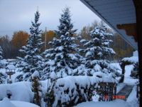 WINTER SNOW AND FALL COLORS