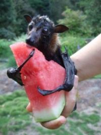So cute
