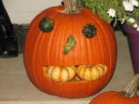 Pumpkin by Kevin