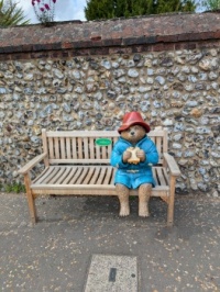 norwich 11