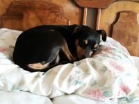I Couldn't Make The Bed Today