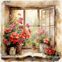 Květiny v okně
