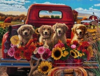 Cute adorable doggies...