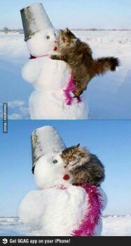 I Think Tgus Jutty is love with a Snowman