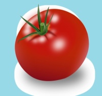 CA 1174 - Tomato